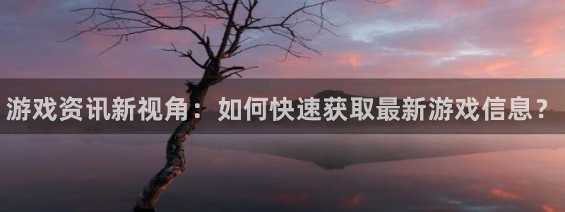 长征娱乐在线登录：游戏资讯新视角：如何快速获取最新游戏信息？