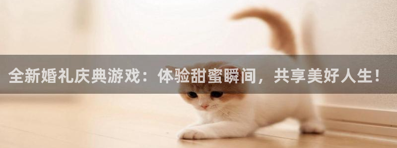 长征娱乐平台官方网站：全新婚礼庆典游戏：体验甜蜜瞬间，共享美
