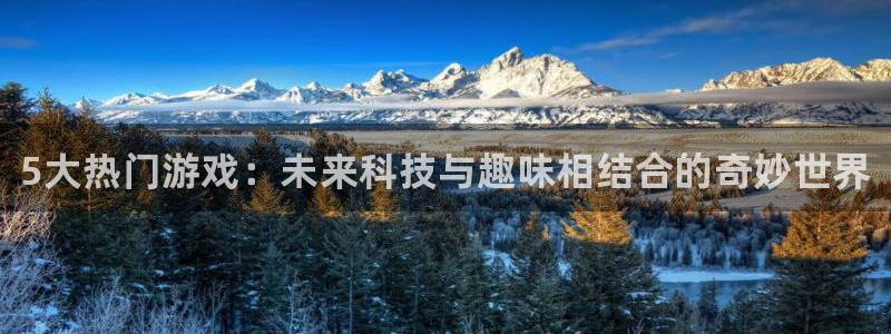 长征娱乐集团：5大热门游戏：未来科技与趣味相结合的奇妙世界