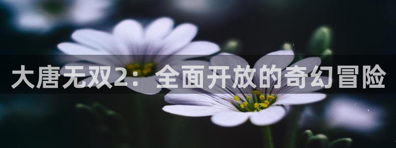 长征娱乐网页登录入口：大唐无双2：全面开放的奇幻冒险