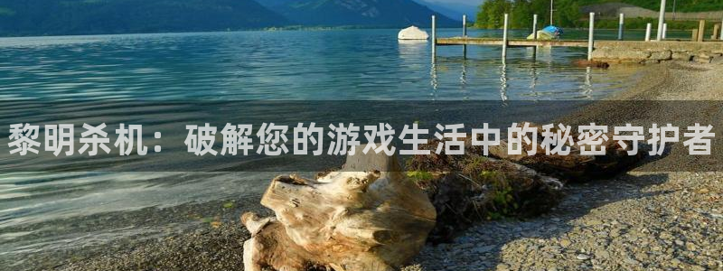 长征娱乐下载：黎明杀机：破解您的游戏生活中的秘密守护者
