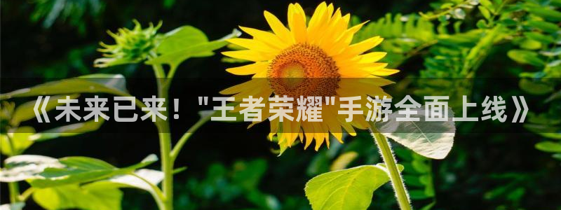 长征娱乐注册：《未来已来！\