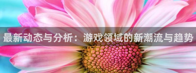 长征娱乐线路测试：最新动态与分析：游戏领域的新潮流与趋势