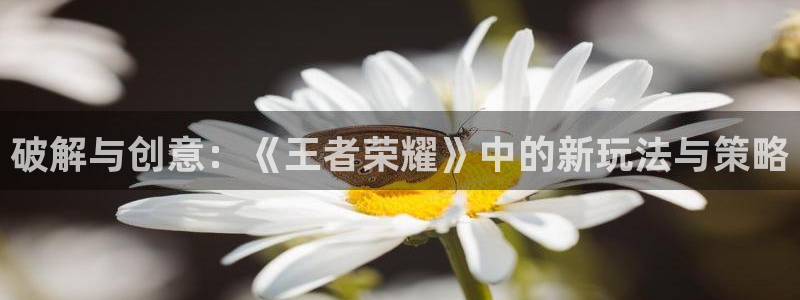 手机长征娱乐下载安装：破解与创意：《王者荣耀》中的新玩法与策