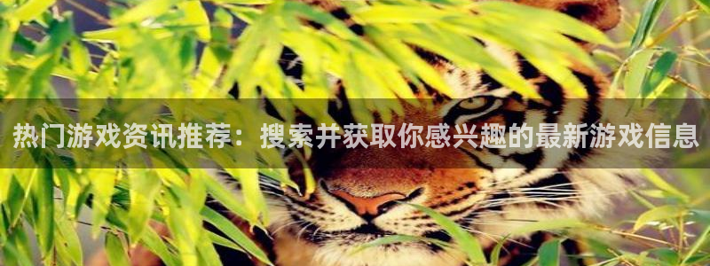 长征娱乐登录地址：热门游戏资讯推荐：搜索并获取你感兴趣的最新