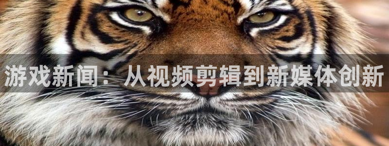 长征娱乐网页版地址：游戏新闻：从视频剪辑到新媒体创新