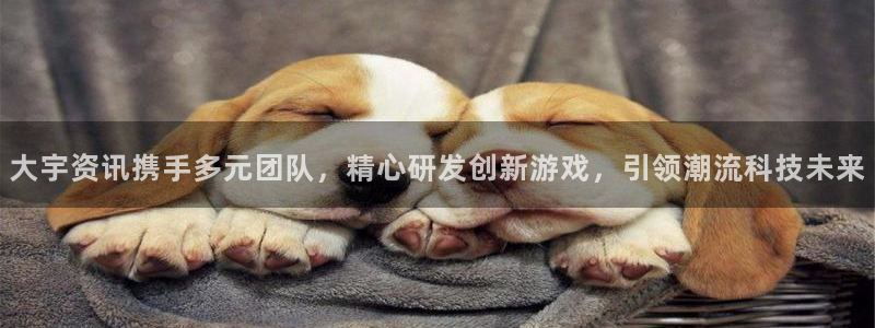 长征娱乐4招商：大宇资讯携手多元团队，精心研发创新游戏，引领
