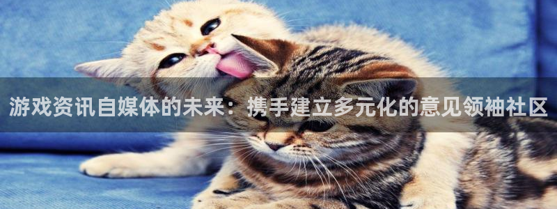长征娱乐app下载|下载地址：游戏资讯自媒体的未来：携手建立