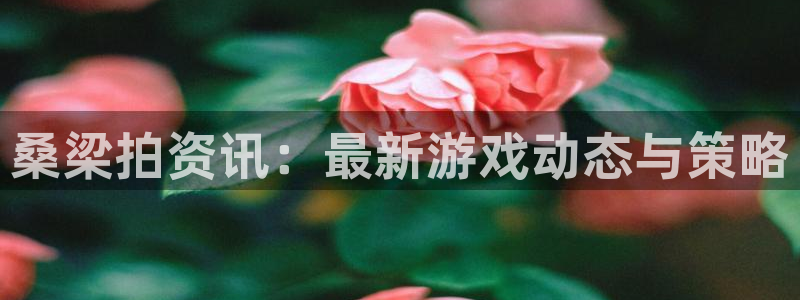 长征娱乐平台官方网站