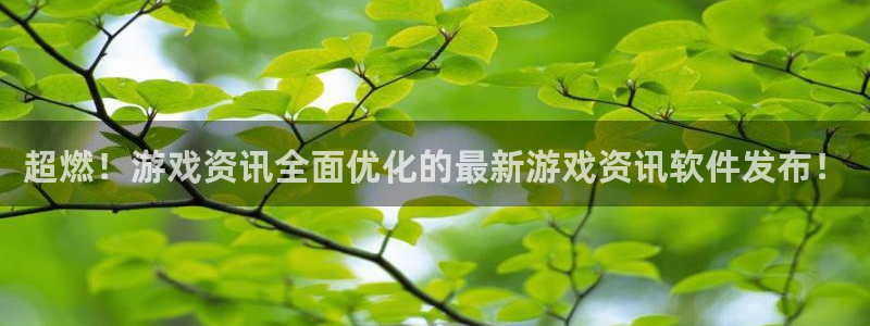 长征娱乐网页登录入口官网：超燃！游戏资讯全面优化的最新游戏资