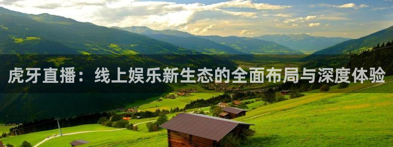 新球体育网球比分