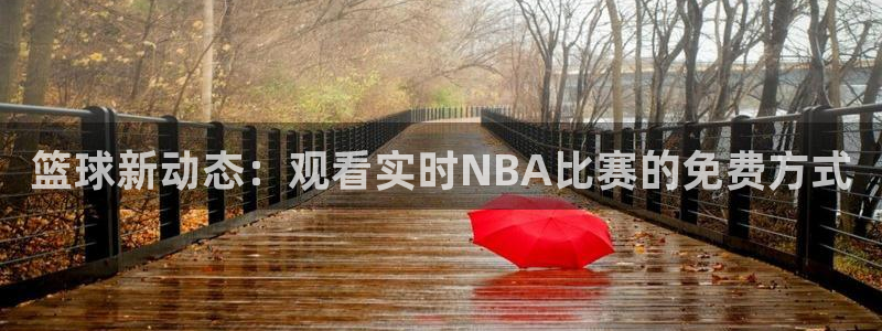 新体球即时比分新球体育